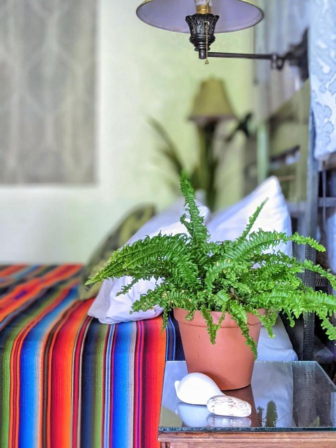 Seaside Inn Roatan West Bay Zewnętrze zdjęcie